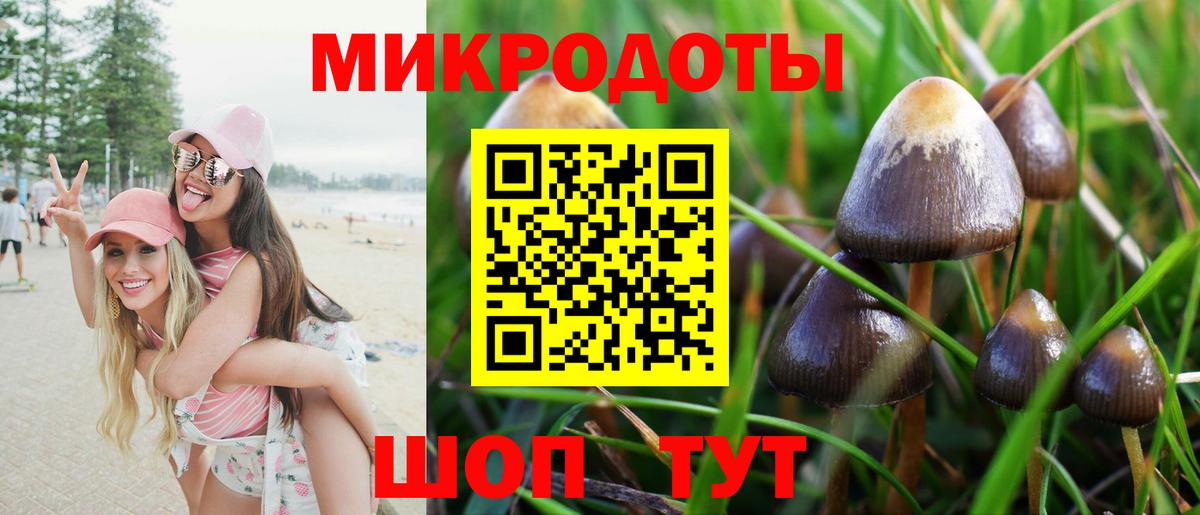 Галлюциногенные грибы GOLDEN TEACHER  Вход с VPN  Кимры 