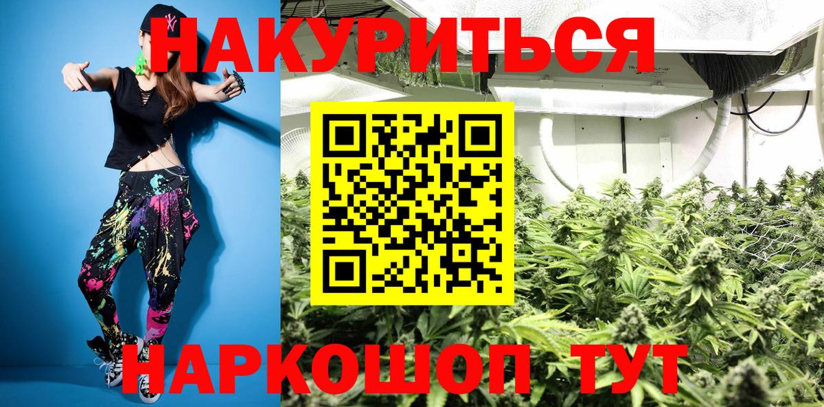 Шишки марихуана OG Kush Кимры